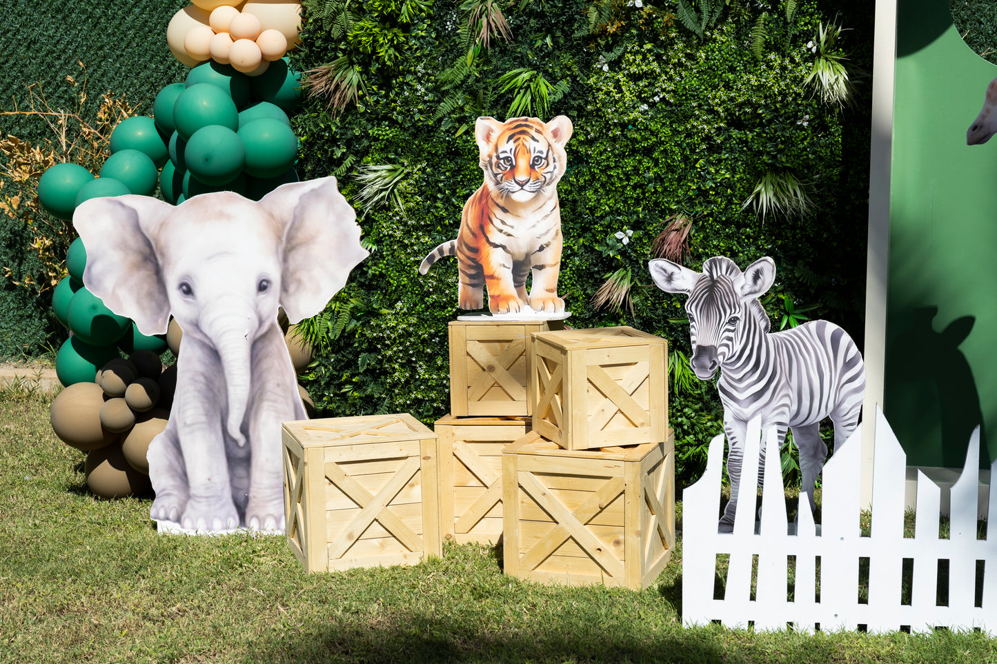 Safari theme