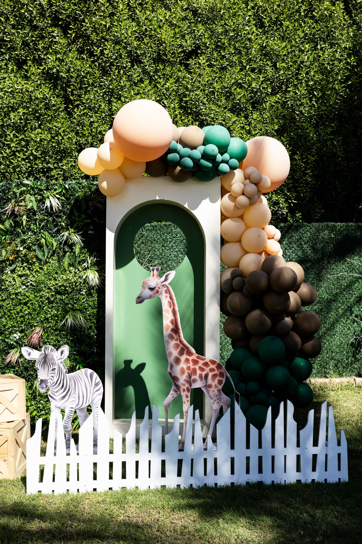 Safari theme