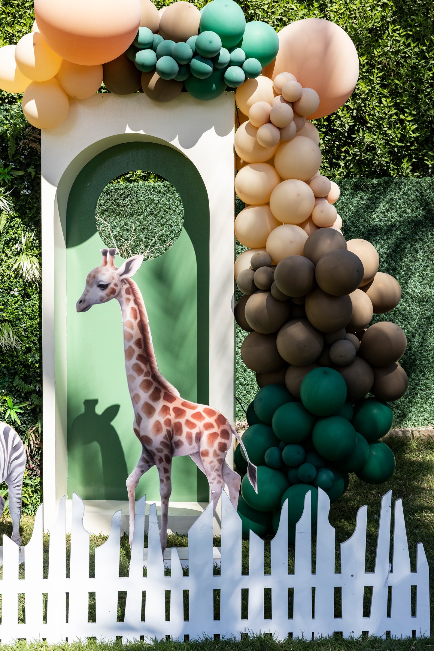 Safari theme